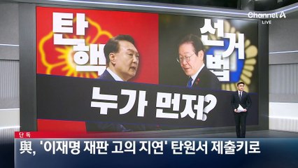 [단독]與, ‘이재명 고의 재판지연’ 탄원서 제출키로