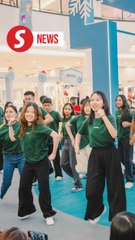 Bringing Christmas Joy to public spaces