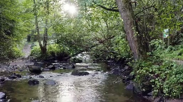 la réserve naturelle des gorges de la Loire : bande annonce