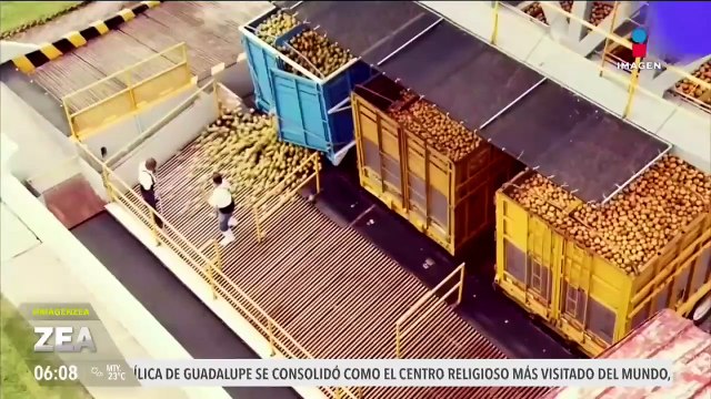 El SAT reporta que la recaudación tributaria alcanzó más de 4 billones de pesos