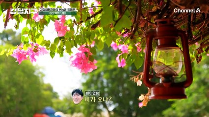 사막에 비가 온다? 강철 여행자들의 본능을 일깨운 아웃백의 단비