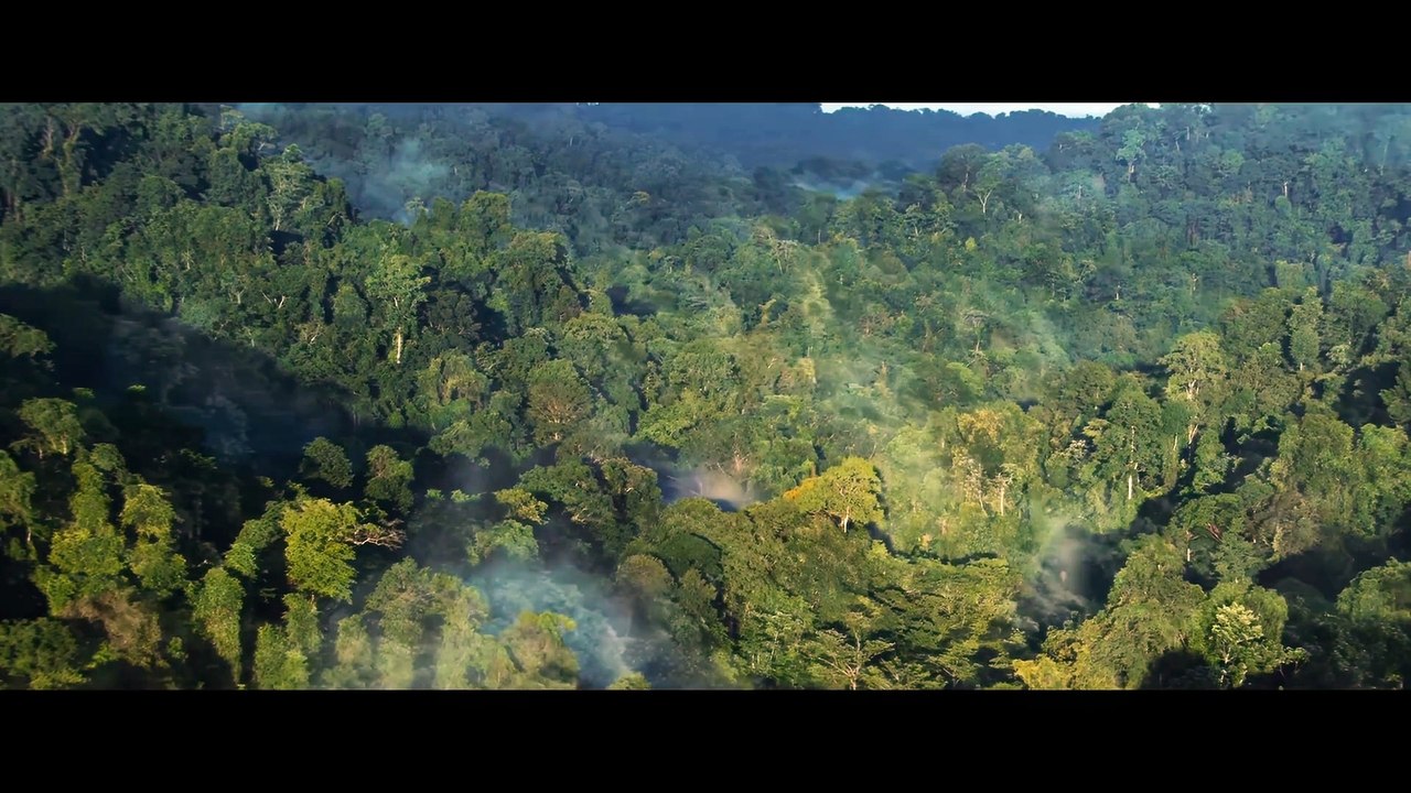 Tarzan (2025) First Trailer Dwayne Johnson, Megan Fox video