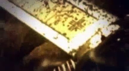 Merlin Season 5 Episode 7 A Lesson In Vengeance