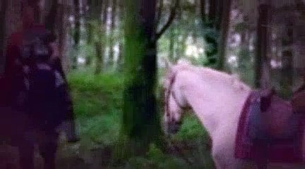 Merlin Season 5 Episode 6 The Dark Tower