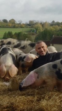 Lotfi Abdelli, l’artiste qui ose tout ! Entre provocation et humour acéré, le Tunisien s’impose en France depuis 3 ans. Nouvelle tournée dès janvier, de Paris à la Belgique.