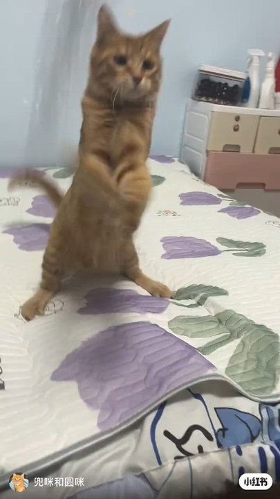 Voici ma nouvelle vidéo