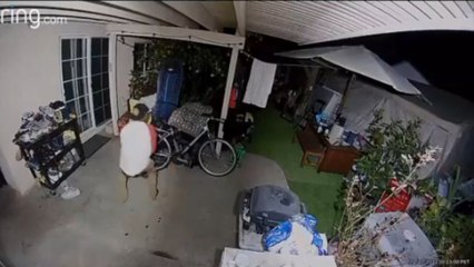 Boy’s arm goes numb as funny bone strikes hard sliding door corner