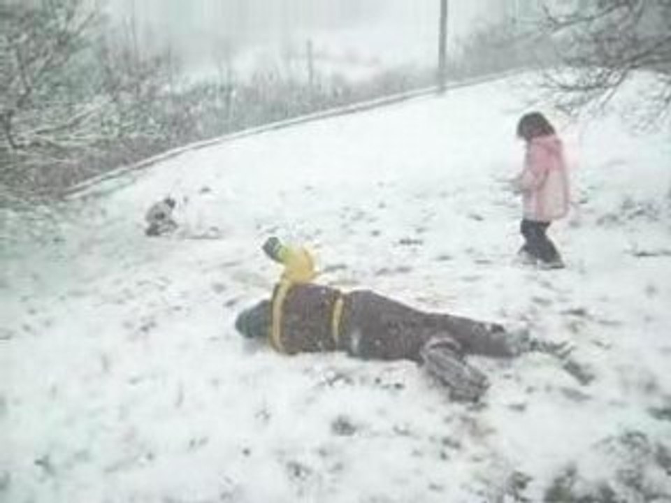 Regis fait de la luge