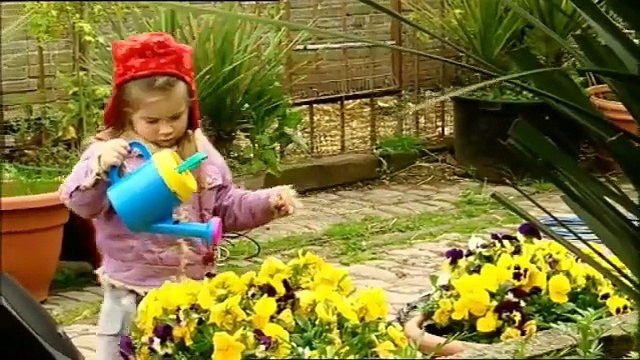 Boogie Beebies Gardening Cbeebies