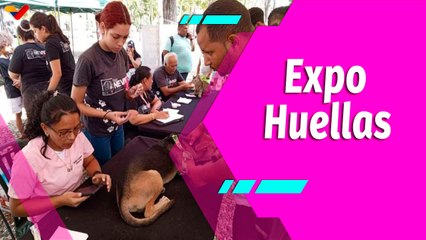 Buena Vibra | Expo Huellas Music Fest de Navidad 15D en la Plaza de La Juventud