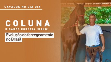 Cavalus no Dia Dia: evolução do ferregeamento no Brasil
