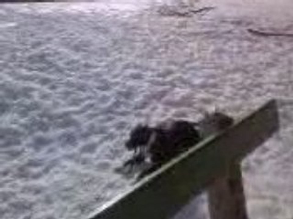 Vidéo0019