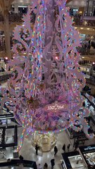 Sapin Galleries Lafayette