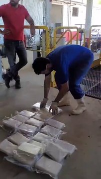 Mais de 50 quilos de cocaína são incinerados após apreensão recorde no Sul de SC