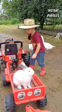 Ce petit garçon réalise des balades avec plusieurs animaux à bord de son train