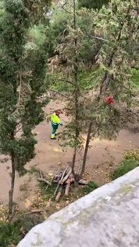 Asociaciones vecinales y ecologistas denuncian la tala de árboles en el parque Bruil sin previa información y consentimiento de sus vecinos (Fuente del vídeo: Zaragoza en Común)