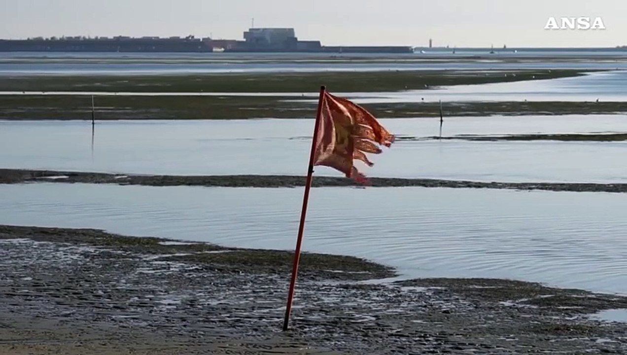 Il "Baca'n", l'isola "che non c'e'" nella Laguna di Venezia