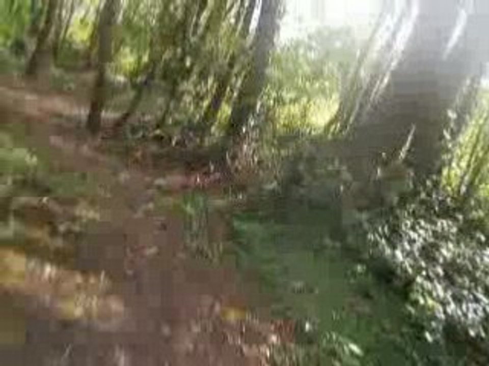 V7