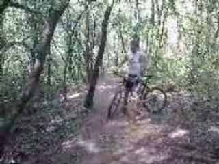 VTT Y'a des sangliers !!