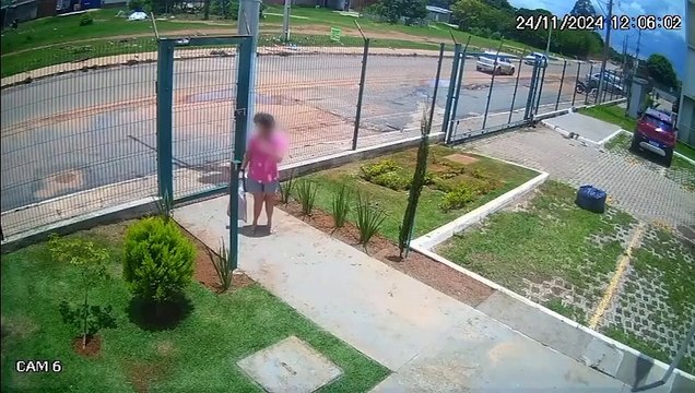 Mulher de 66 anos expulsa gata de condomínio e é indiciada por maus tratos