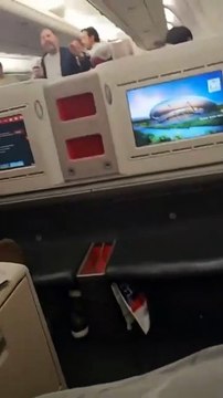 Uçakta kavga çıkaran Petlas Yönetim Kurulu Üyesi Özcan: 'Türkiye'yi satın alırım'