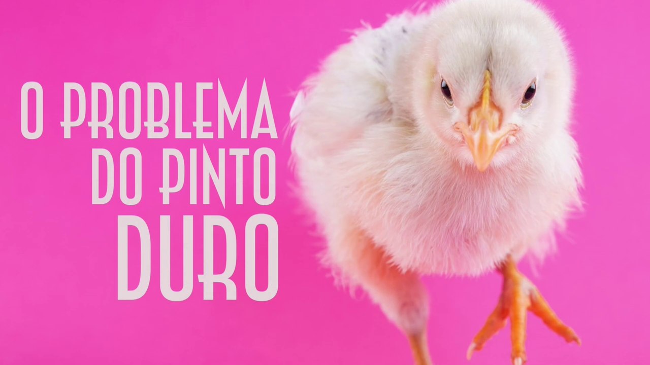 O Problema do pinto duro - EMVB - Emerson Martins Video Blog 2017