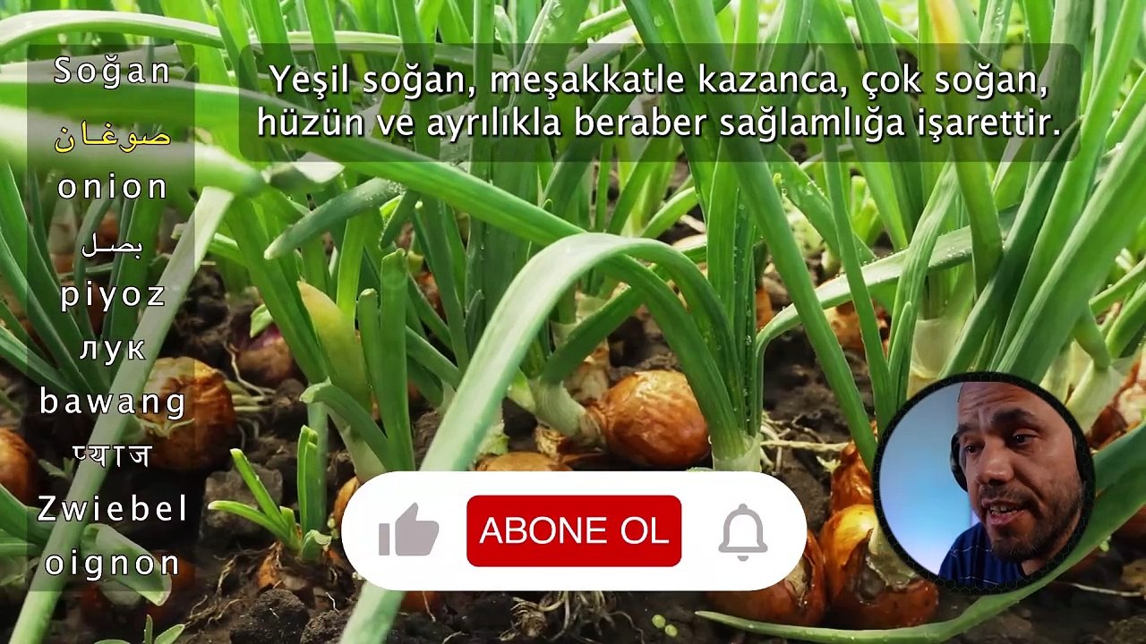 Rüyada Soğan görmek - İhya Rüya Tabirleri