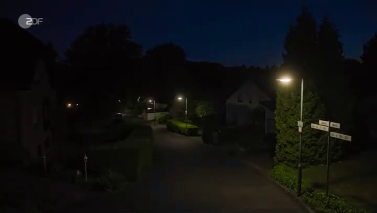 Blackout bei Wellmanns