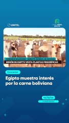 Egipto muestra interés por la carne boliviana