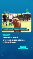 Genética Sindi interesa a ganaderos colombianos
