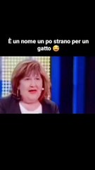 il mio gatto si chiama minchia morta