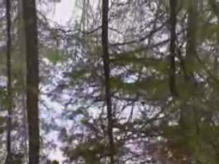 How to save Money Lose weight and save the planet