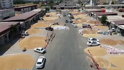 Batman'da arpa krizi! Fiyatlar fırladı