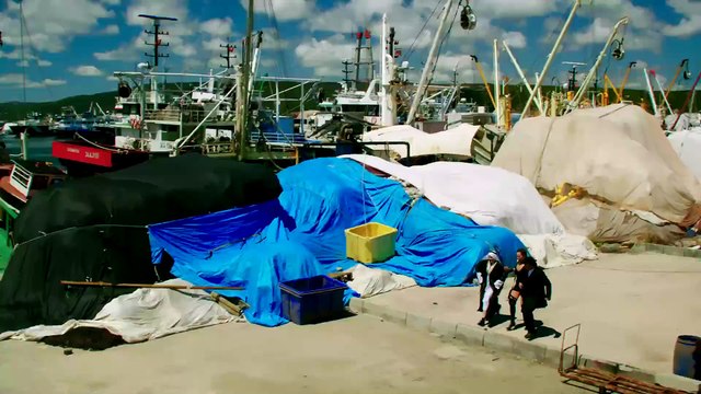 Çakallarla Dans 3: Sıfır Sıkıntı | movie | 2014 | Official Teaser