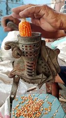 mesin pemipil jagung zaman Belanda.