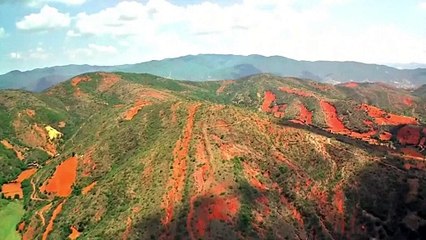 Paleontólogos chinos identifican una nueva especie de dinosaurio saurópodo del Jurásico temprano