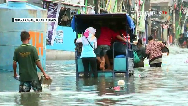 Banjir Rob Setinggi 50 cm Masih Rendam Permukiman di Muara Angke