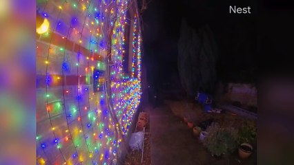 Mean-spirited vandals cut Christmas lights on 11 homes