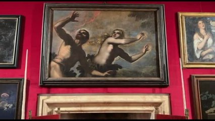 La scienza, Tintoretto e gli unicorni: meraviglie a Palazzo Grimani
