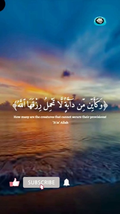#viqarishaq #love #duet #bestrecitationofsurahewaqiah #daily
