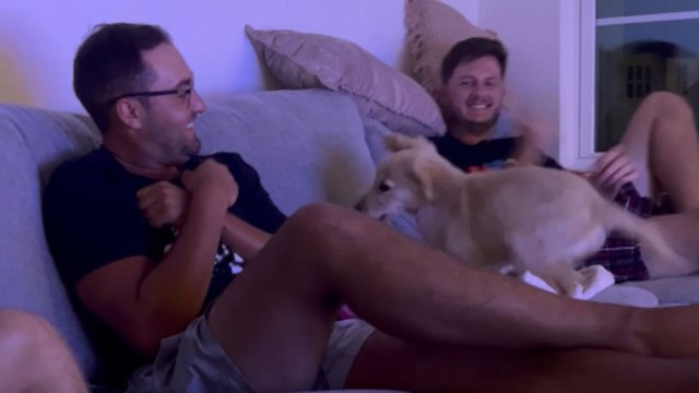 Puppy runs wild with zoomies and fills living room with excitement