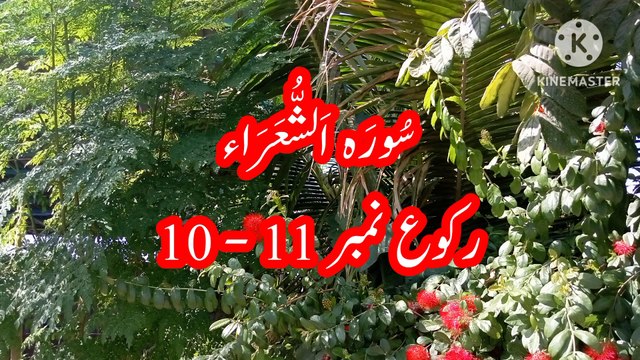 Surah Ash Shuara , Tilawat Ash Shuara , quran recitation , beautiful voice , learn quran