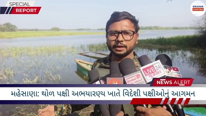 મહેસાણા:થોળ પક્ષી અભયારણ્યમાં વિદેશી પક્ષીઓનું આગમન, નૈસર્ગિક સૌંદર્ય માણવા લોકમાર્ગે| Grahak Chetna