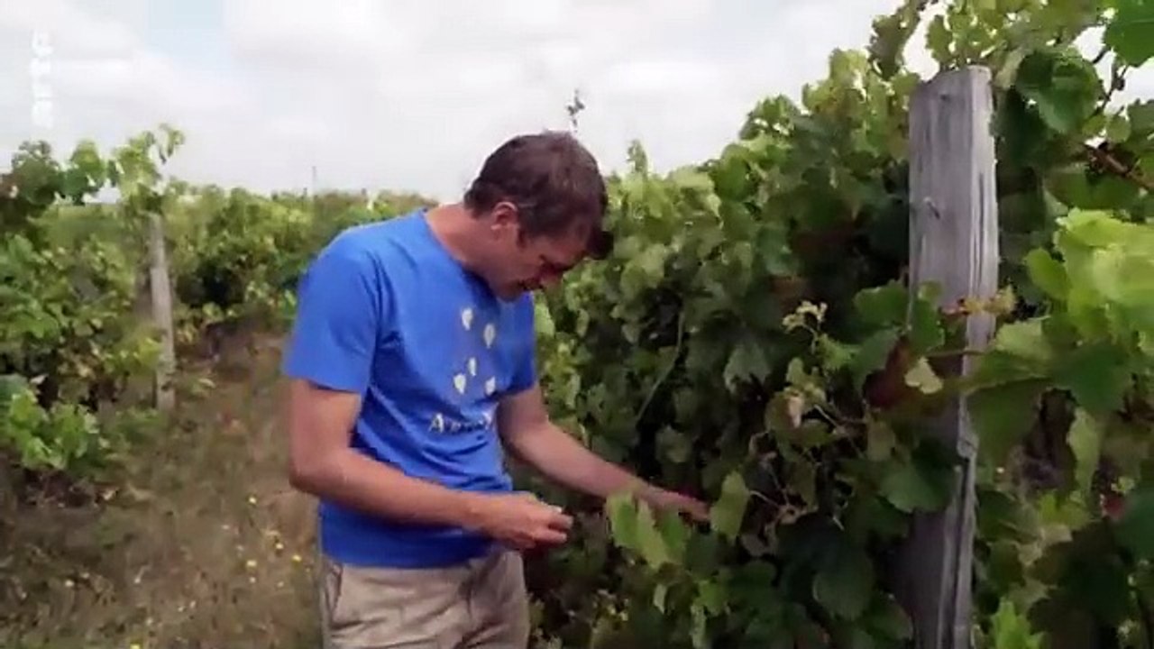 Orages, grêle et pluies : ça se précipite ! | ARTE