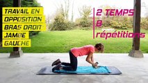 FITNESS - Renforcement musculaire dos ( avec ou sans haltères)