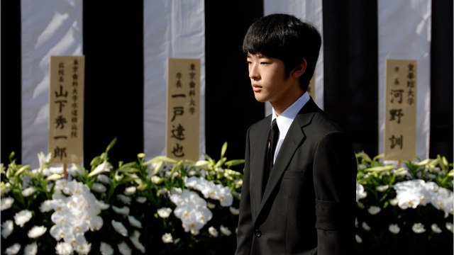 Prince Hisahito du Japon : les prochaines grandes étapes à suivre de l’héritier du trône