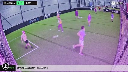 But de Valentin - chameau