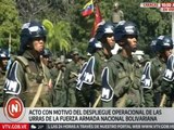 Vpdte. Sectorial Diosdado Cabello: Vemos a un pueblo uniformado con amor a defender la patria