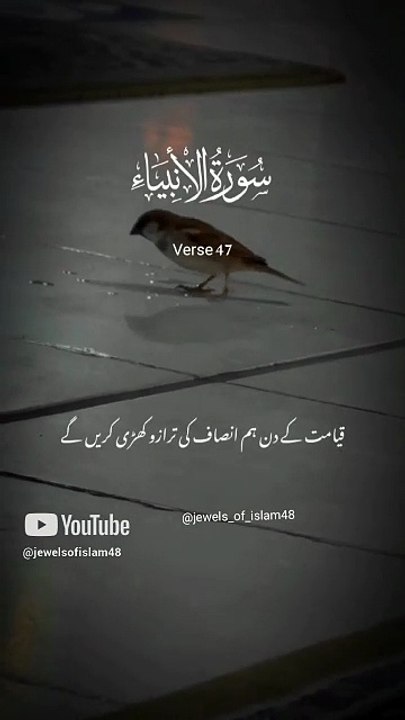 Qayamat ka din Aur insaaf   #allah #islam #quran #muslim #short #shorts #ytshorts #viralvideo