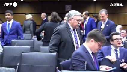 Aiea, riunione straordinaria  sull'Ucraina